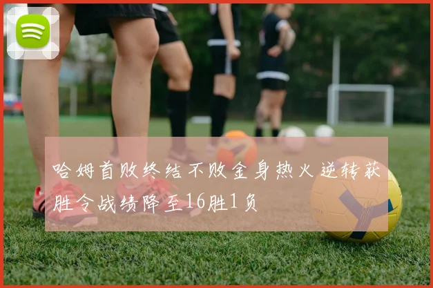 哈姆首败终结不败金身热火逆转获胜令战绩降至16胜1负