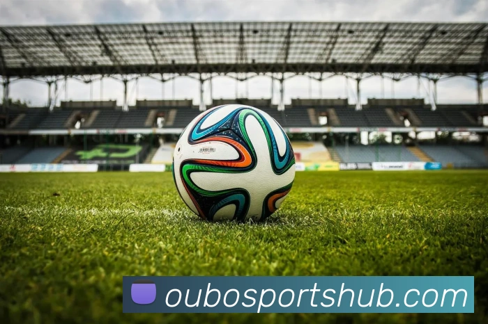 欧宝体育平台生态图